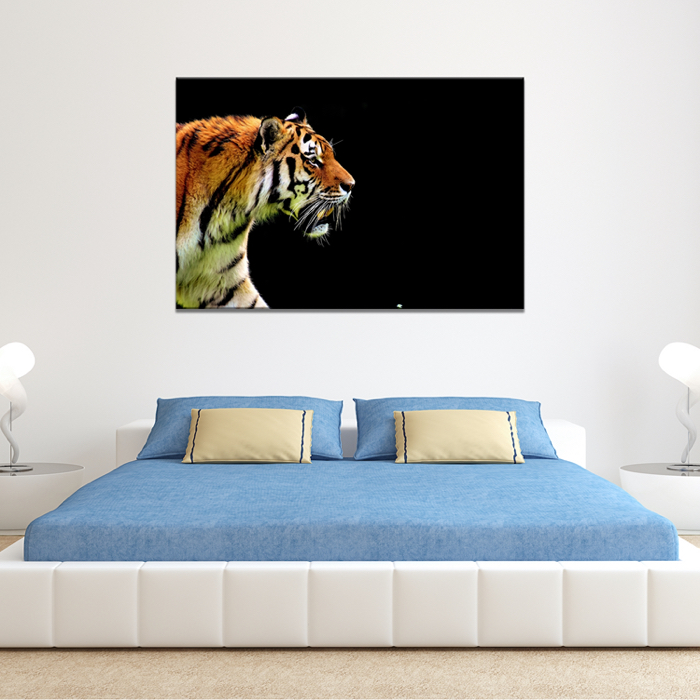 Falikép Tigris Fekete Háttér Vászonkép