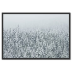 Fenyők Télen Fehér Tiszta Tájkép Poszter