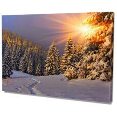Falikép Havas Fenyves Télen Természet Télen Naplemente Vászonkép