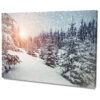 Fenyők Hópelyhek Havazás Természetben Napsugár Fenyves Poszter