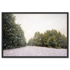 Örökzöld Fák Erdő Tél Havazás Hó Poszter