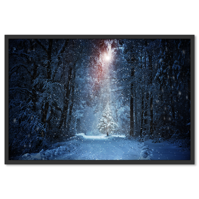 Havazás Hópelyhek Havas Fák Erdőben Fenyők Télen Poszter