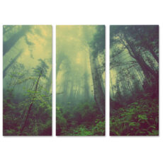 Falikép Dzsungel Erdő Fák Köd Többrészes Vászonkép (3 Részes)