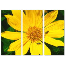 Falikép Sárga Virág Többrészes Vászonkép (3 Részes)