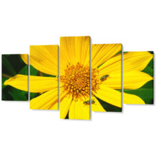 Falikép Sárga Virág Többrészes Vászonkép (5 Részes)