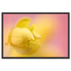 Falikép Sárga Virágszirom Rózsaszín Vászonkép