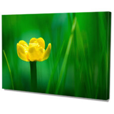 Falikép Sárga Virág Zöld Növények Vászonkép
