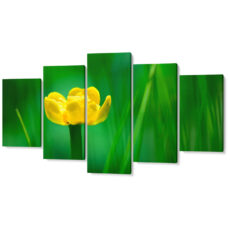 Falikép Sárga Virág Zöld Növények Többrészes Vászonkép (5 Részes)