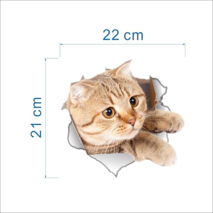 Macskás falmatrica, 3D