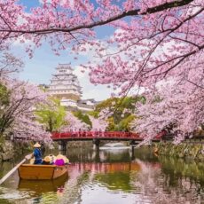 Japán kert Kifestő Számozott Vászonkép Falikép, Ecsettel és Festékkel