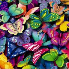 Pillangok Kifestős, Számozott Színezős Vászonkép Falra, Ecsettel és Festékkel